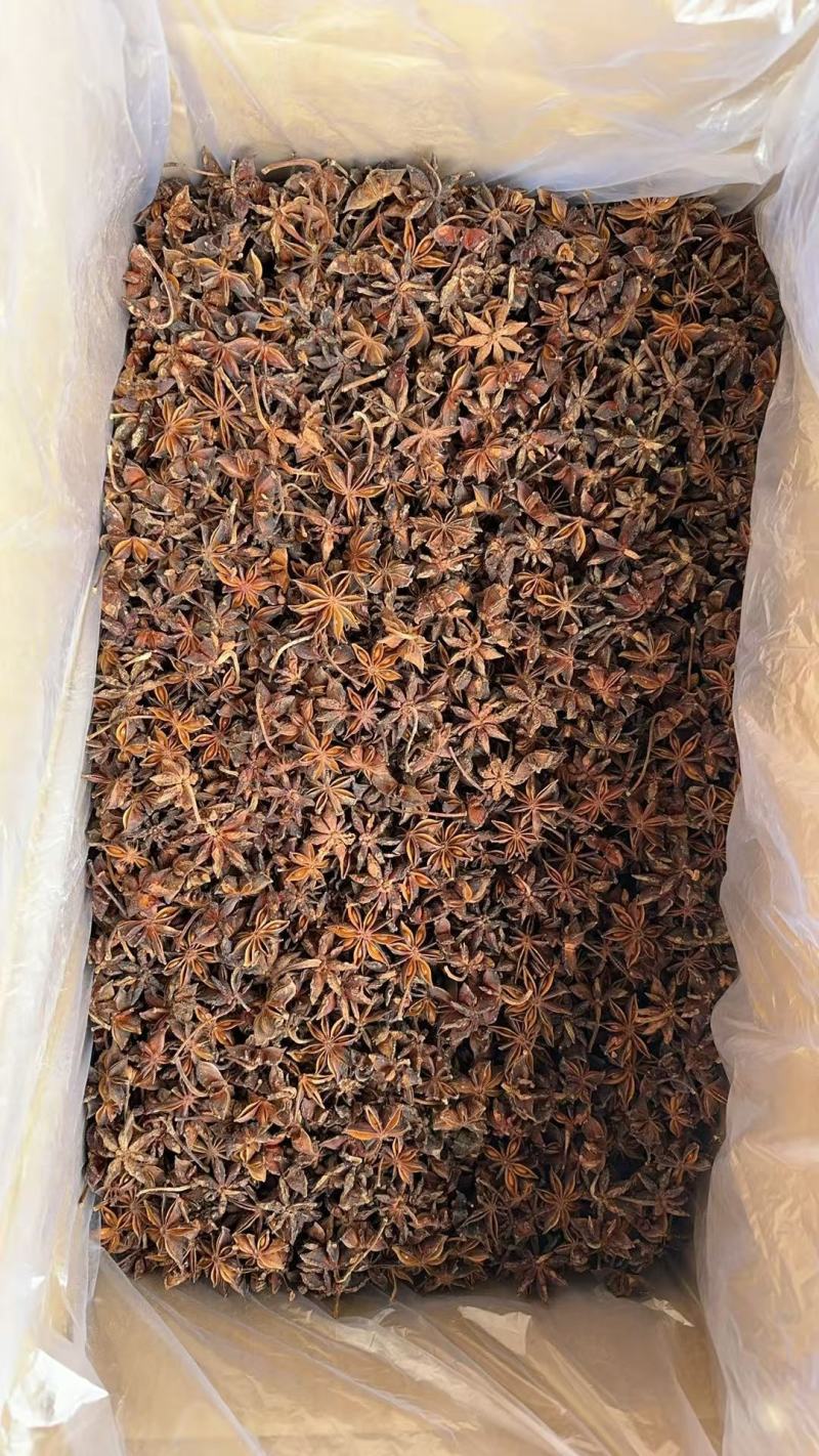 老树八角广西古龙深山野生有机无污染绿色大红八角足干无硫