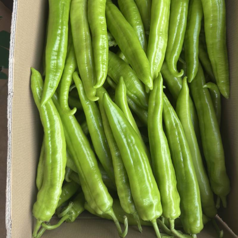 產地黄皮尖椒、牛角尖椒，大量供应，欢迎来电咨询！