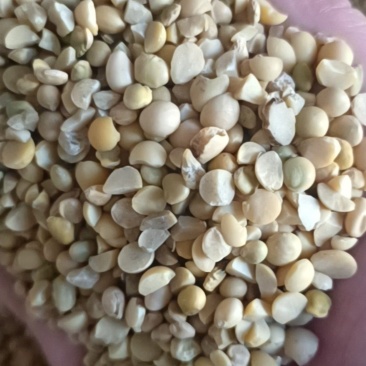 大量直销碎大豆