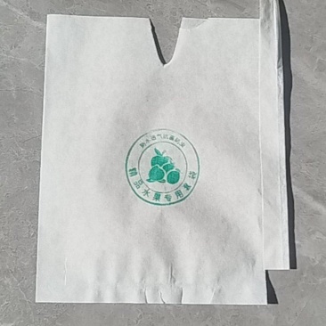 单白桃袋，单白梨袋，单黄蜡袋，产地一手货源量大优惠欢迎合