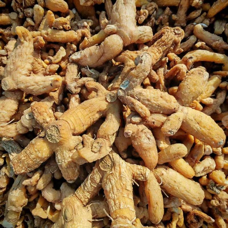 湖北英姜形多花黄精产地直发货源充足保质保量欢迎随时联系