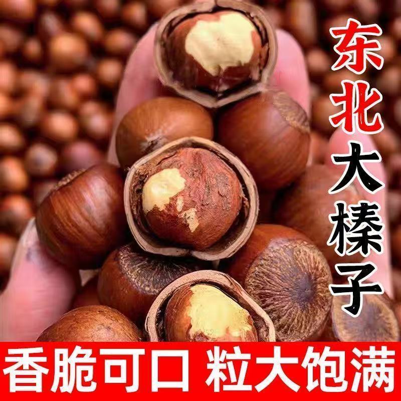 新货东北野生榛子一件代发坚果干果个大一手货源全国发货