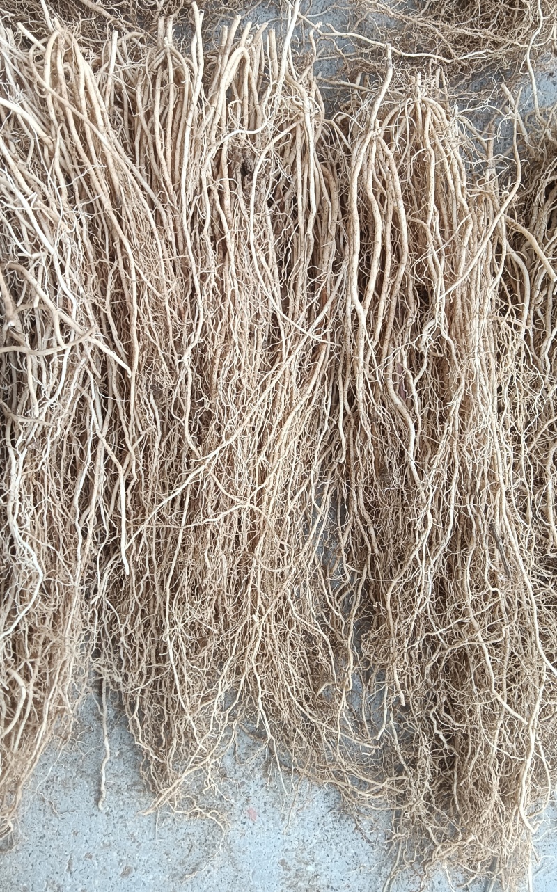 徐长卿大货，自产自销