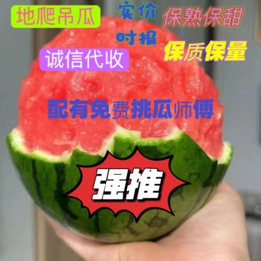全美2k小糖丸西瓜批发电商团购商超产地直供