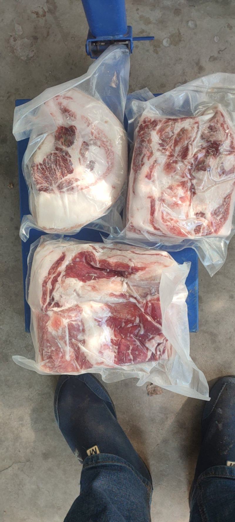 熊猫猪土猪肉
