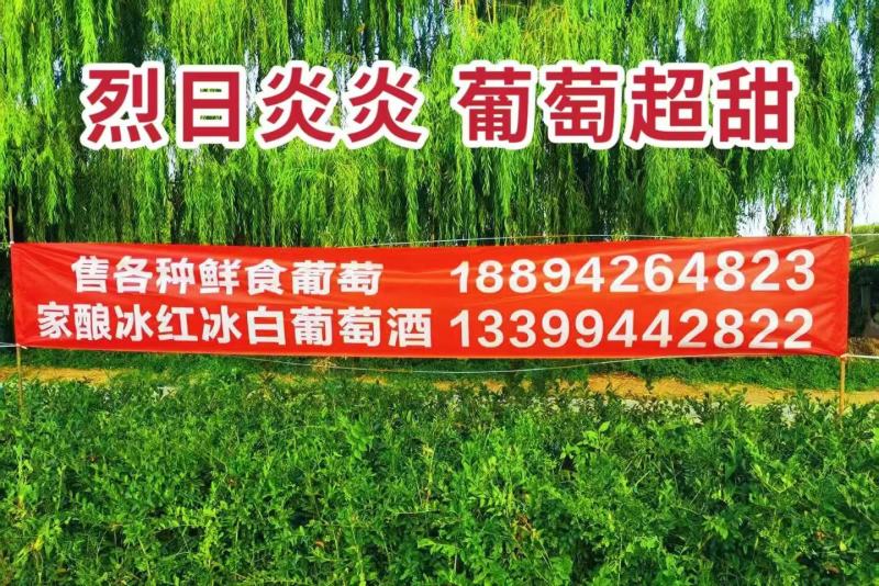 大量优质红白葡萄籽，牛羊鸡畜禽养殖育肥，营养价值高