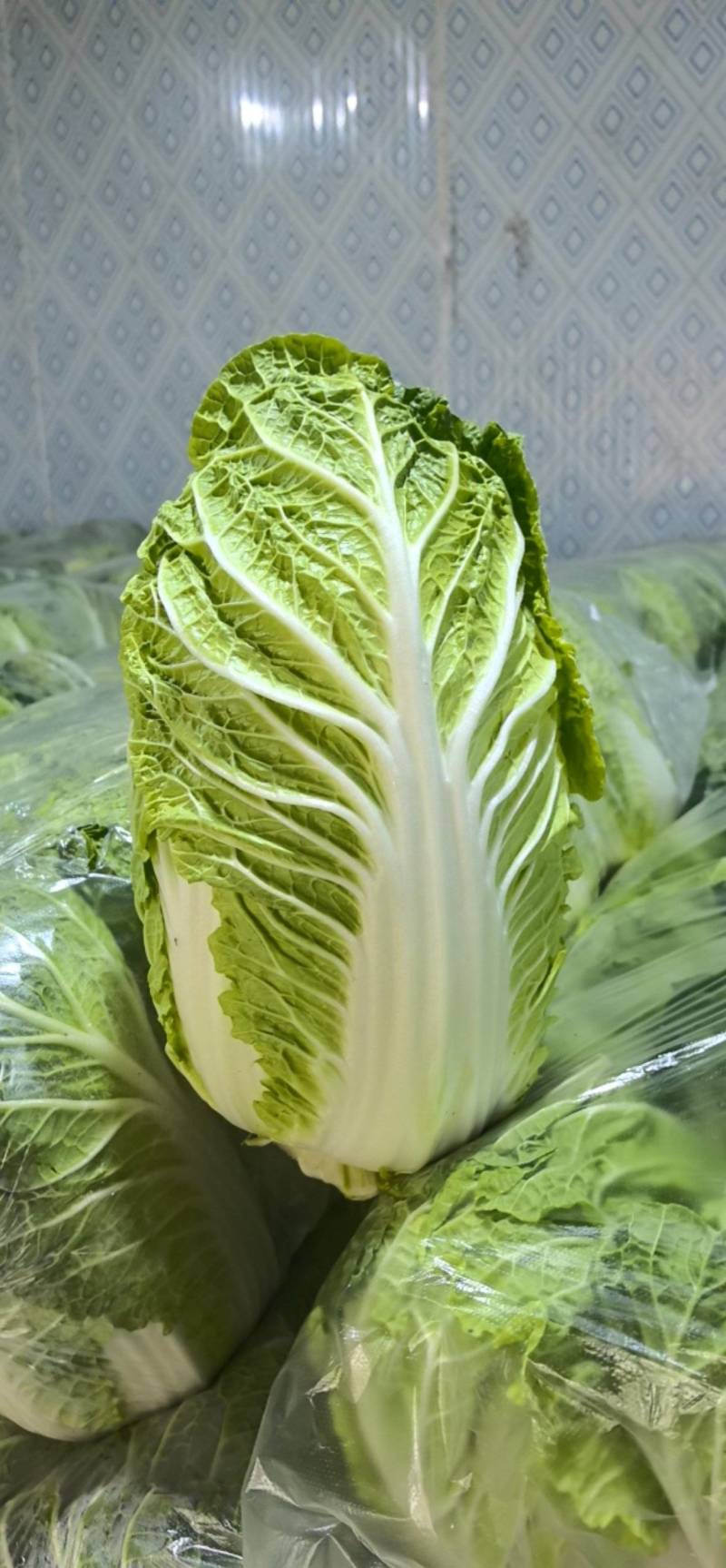 江苏南通海门大白菜黄心白菜