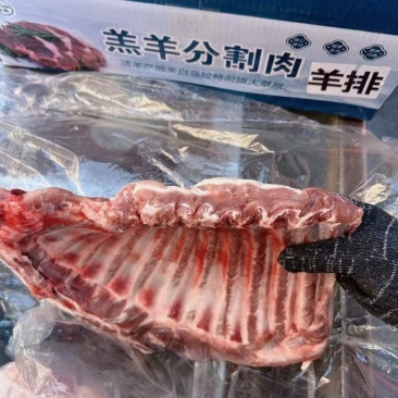 星星羊排5-7片