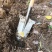 锰钢淬火加厚挖树长尖农用全钢尖头山药铲子户外挖沟挖土