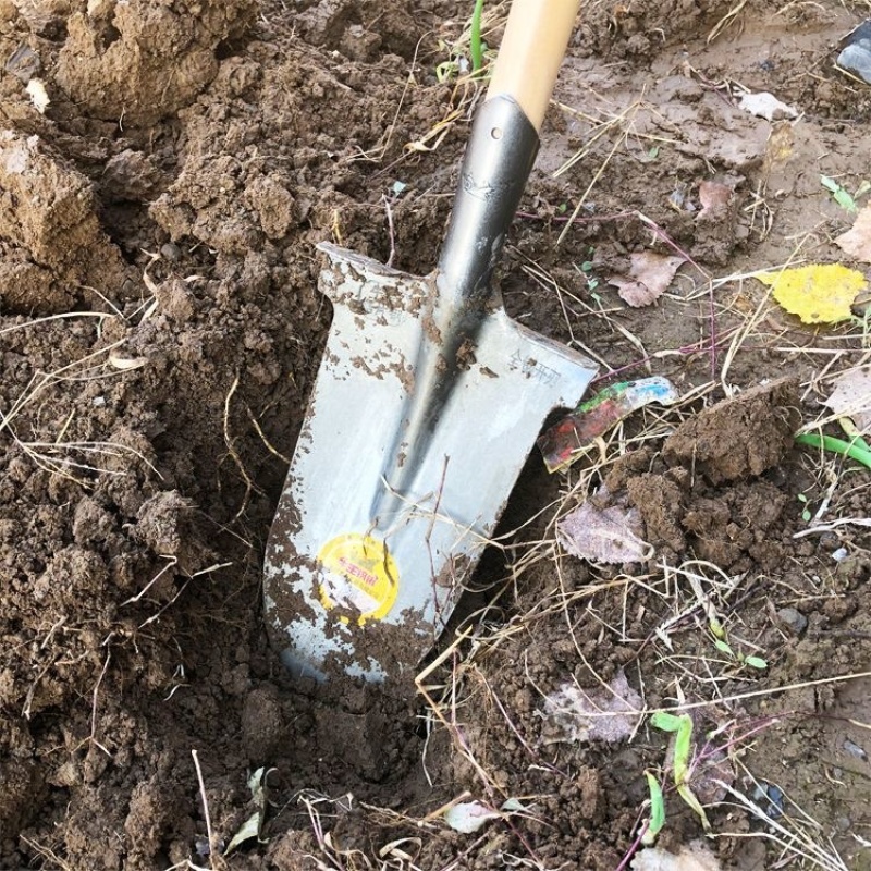 锰钢淬火加厚挖树长尖农用全钢尖头山药铲子户外挖沟挖土