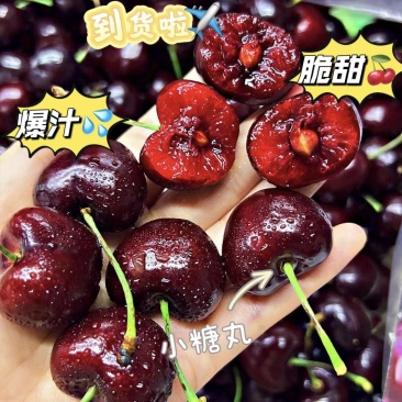 山东大樱桃电商团购一件代发价大量现货