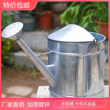 家用加厚大容量喷壶白铁皮壶浇菜壶浇花喷壶铁皮洒水壶喷
