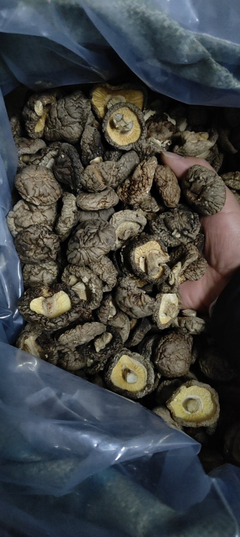 干香菇品质优种植大量干货基地直供欢迎对接