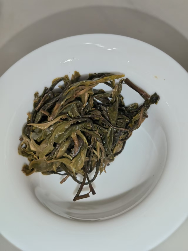 云南普洱生茶，倚邦中小叶种乔木生茶，普洱茶茶叶货真价实