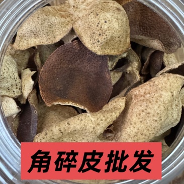 陈皮新会批发价断皮广东陈皮老陈皮陈皮碎陈皮干500g