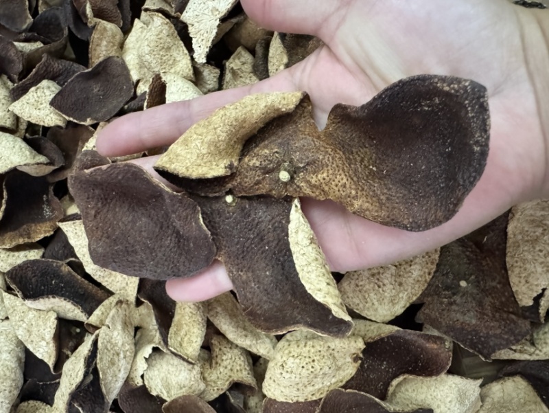 陈皮新会批发价断皮广东陈皮老陈皮陈皮碎陈皮干500g