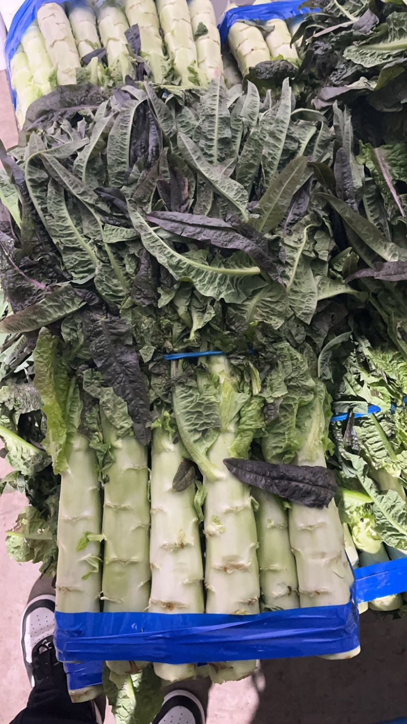 大棚红尖叶，无空，无花，无台，55公分左右，肉绿