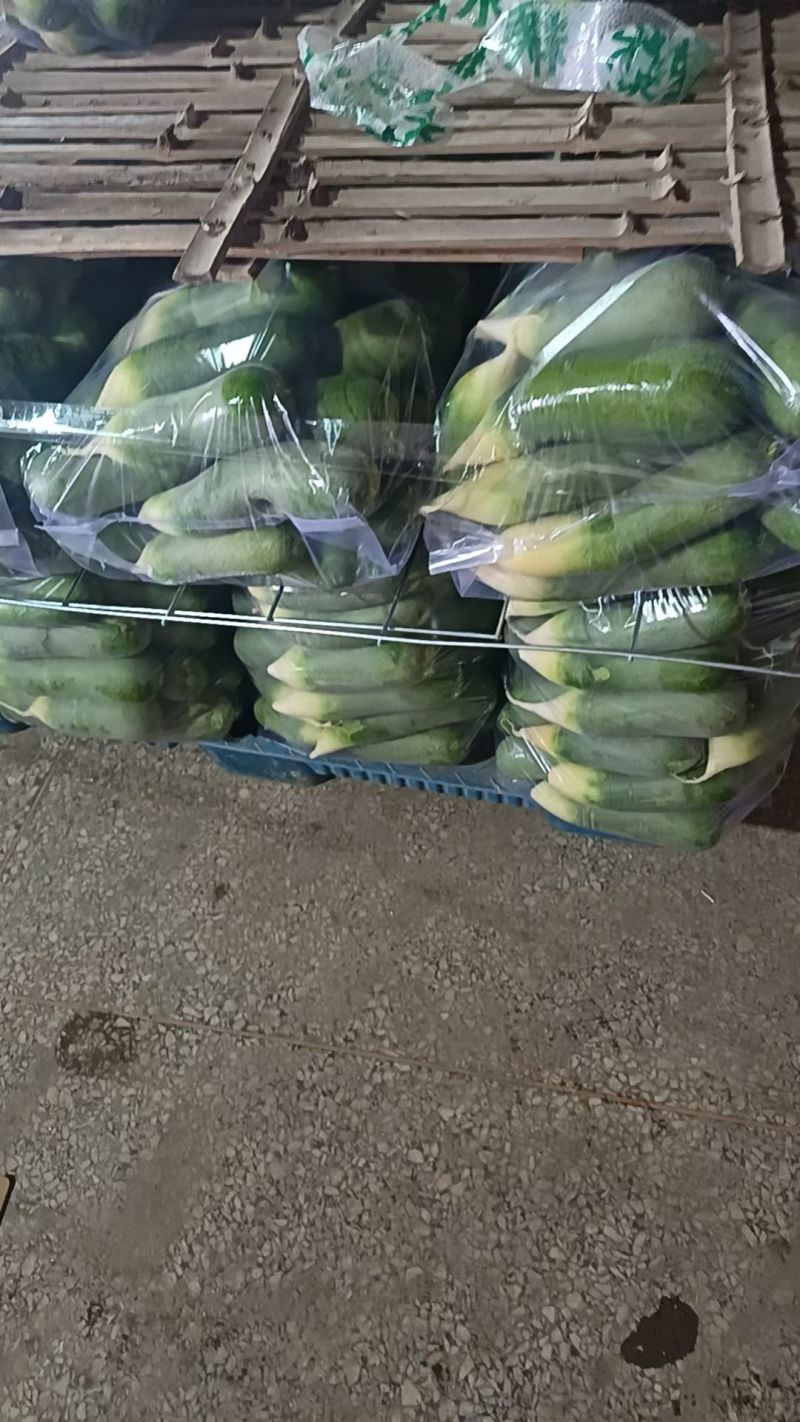 紫美冰激凌，水果萝卜，凤梨萝卜新鲜上市，低价供应！