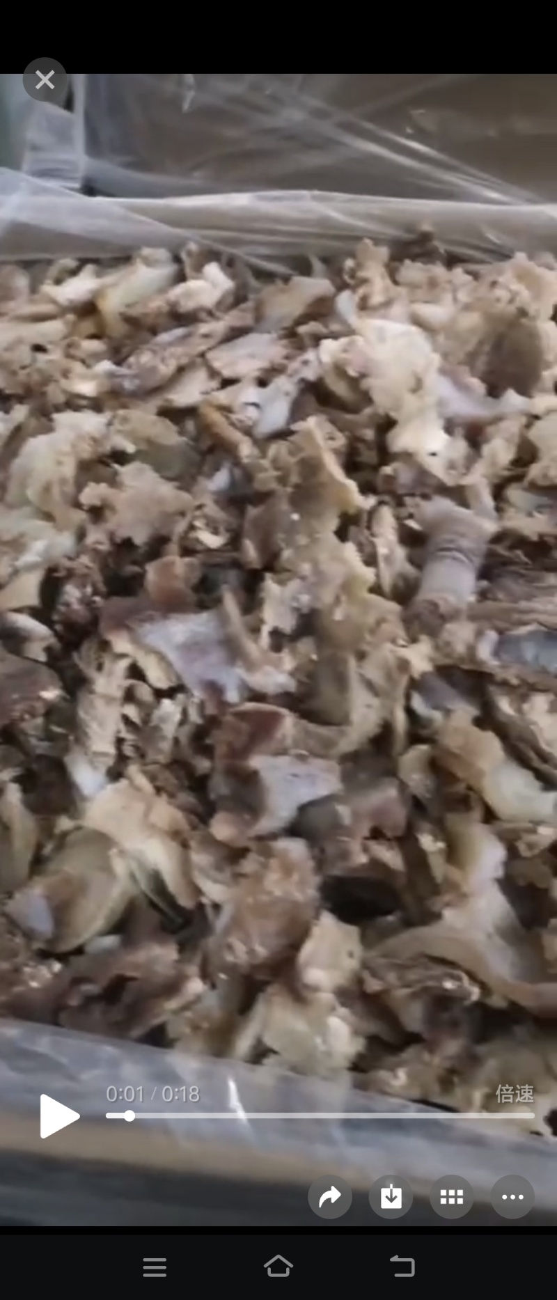 【剔骨肉】山东剔骨肉/全熟牛拆骨肉剔骨肉/筋头巴脑