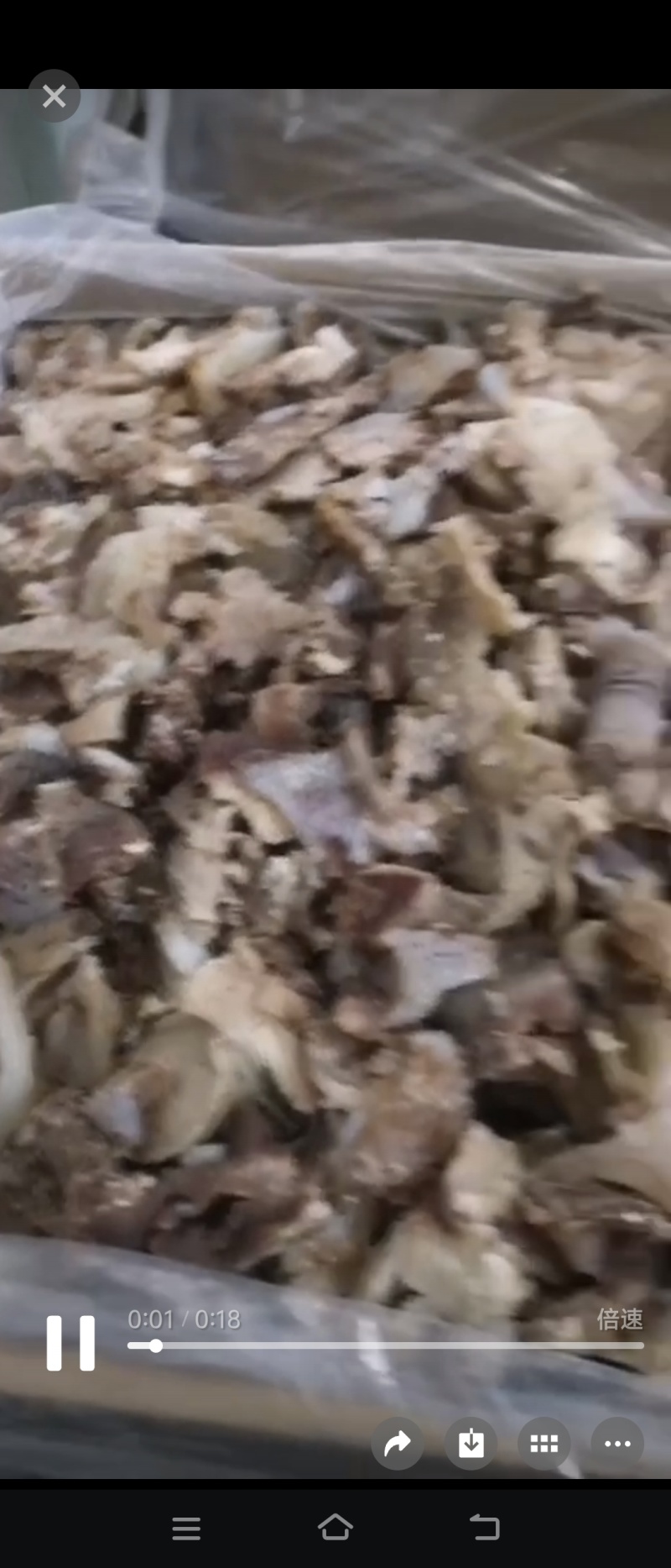 【剔骨肉】山东剔骨肉/全熟牛拆骨肉剔骨肉/筋头巴脑