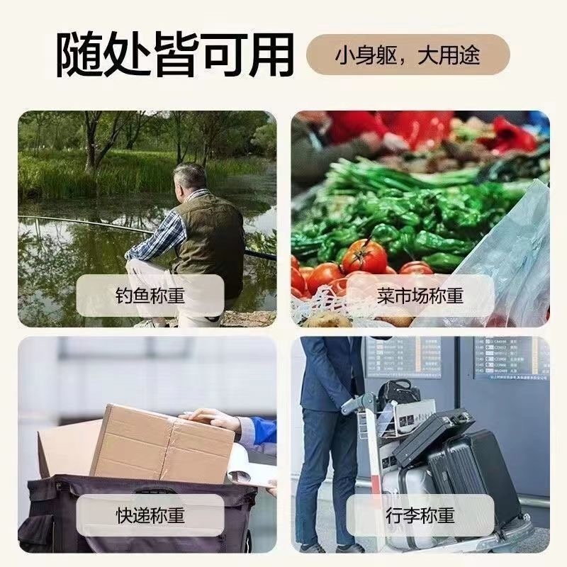 高精度手提电子秤家用弹簧小型便携式厨房器称重手拿小巧