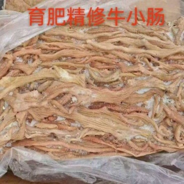 精品精修牛小肠