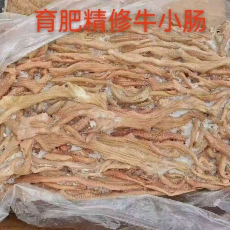 精品精修牛小肠