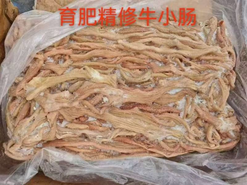 精品精修牛小肠