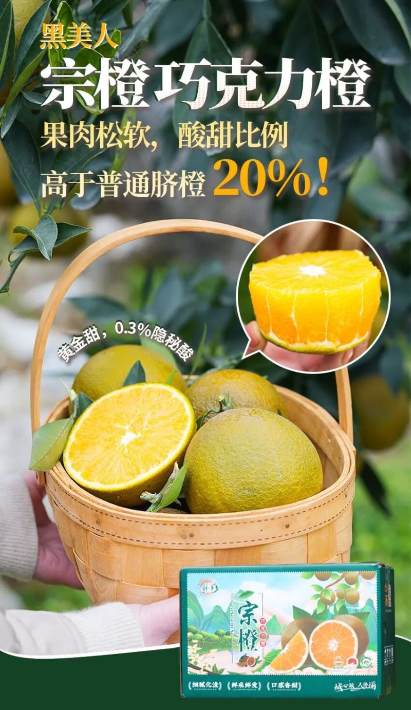 棕橙巧克力橙黑美人橙子秭归脐橙