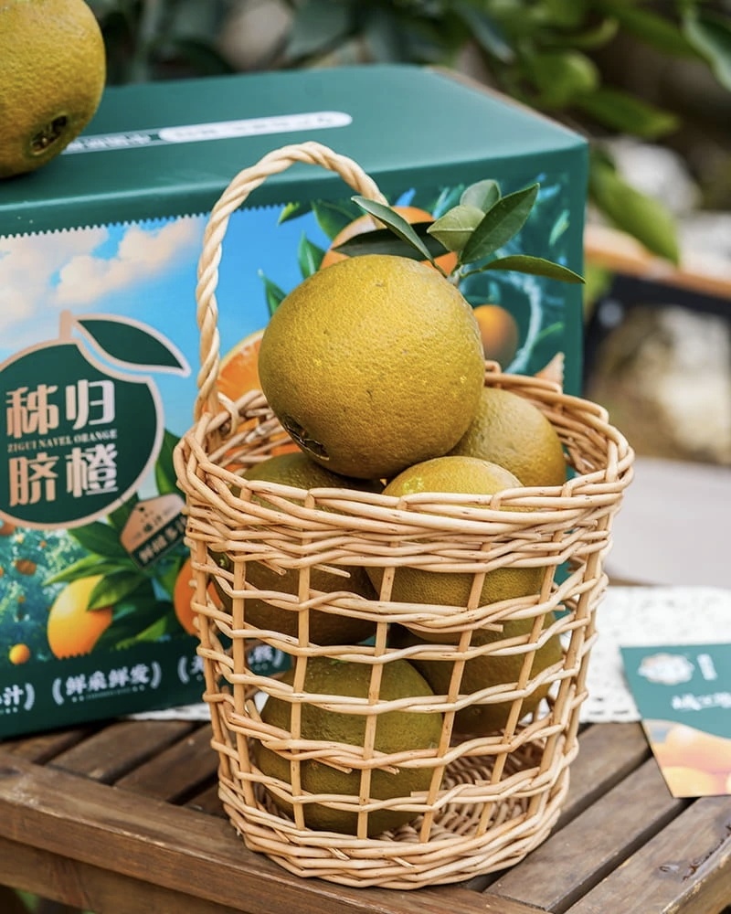 棕橙巧克力橙黑美人橙子秭归脐橙