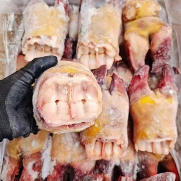 精品火烧牛蹄掌