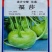 福莎苤蓝泷井交配苤蓝极早熟耐抽苔脆甜苤兰糠心晚品质好