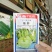 福莎苤蓝泷井交配苤蓝极早熟耐抽苔脆甜苤兰糠心晚品质好
