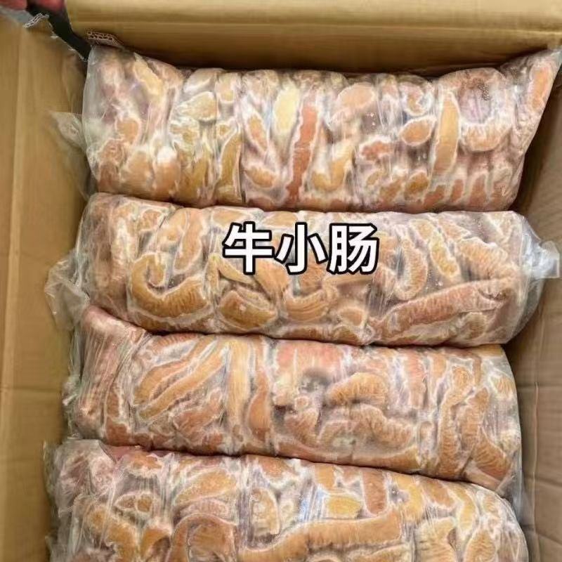 牛小肠圆肠
