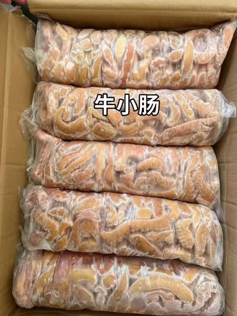 牛小肠圆肠