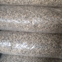 北京菊菊花祁菊菊花