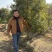 杨梅树七公分以上发货