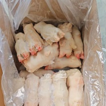 肥猪前蹄