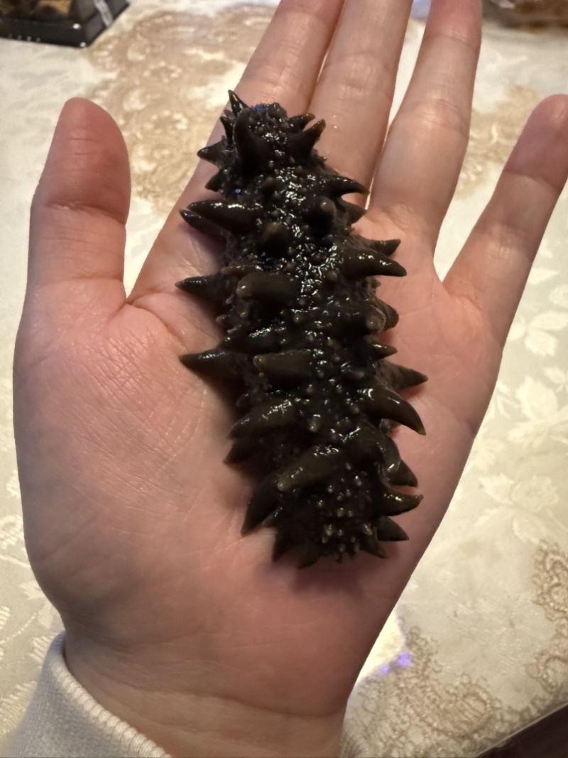 海参