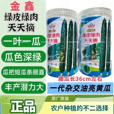 绿皮绿肉天天摘黄瓜种子油亮青瓜绿皮绿肉早熟黄瓜种籽露地