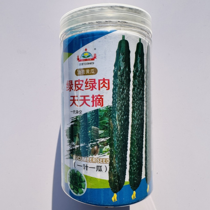 绿皮绿肉天天摘黄瓜种子油亮青瓜绿皮绿肉早熟黄瓜种籽露地
