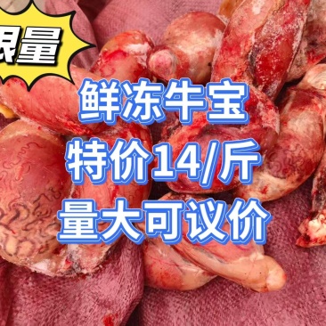 精品牛宝