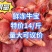 精品牛宝