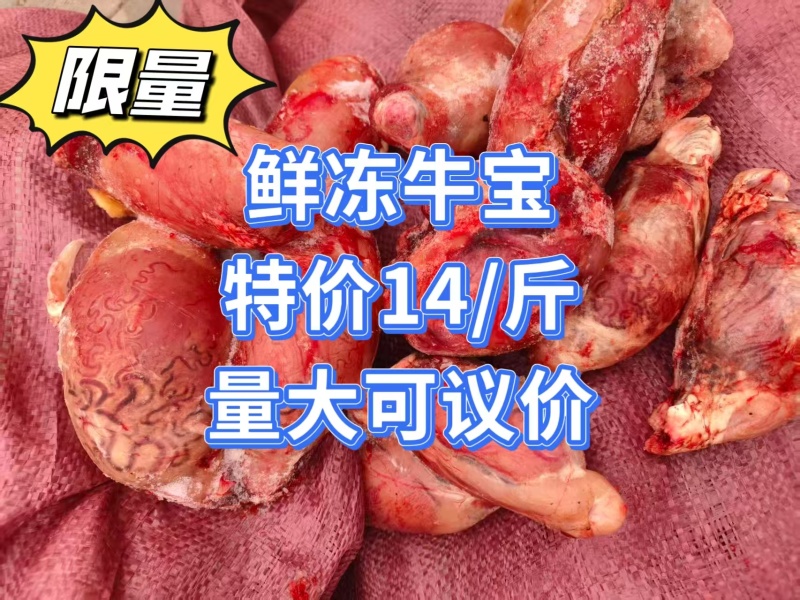 精品牛宝