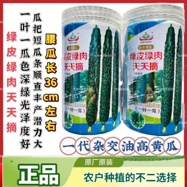 绿皮绿肉天天摘黄瓜种子油亮青瓜绿皮绿肉早熟黄瓜种籽露地专