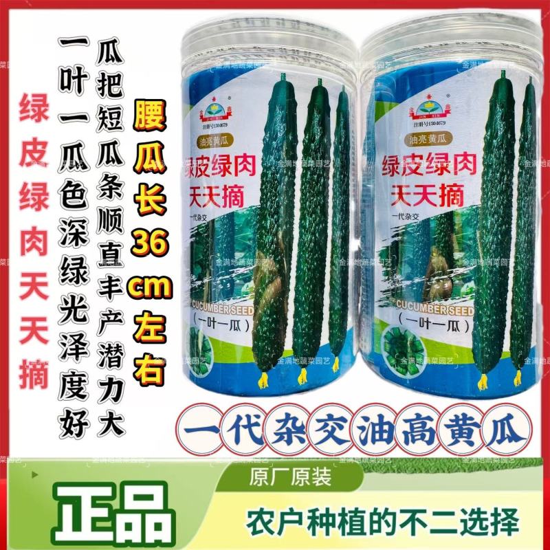 绿皮绿肉天天摘黄瓜种子油亮青瓜绿皮绿肉早熟黄瓜种籽露地专
