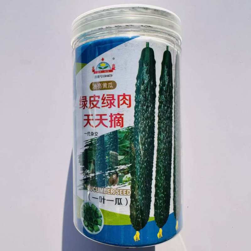 绿皮绿肉天天摘黄瓜种子油亮青瓜绿皮绿肉早熟黄瓜种籽露地专