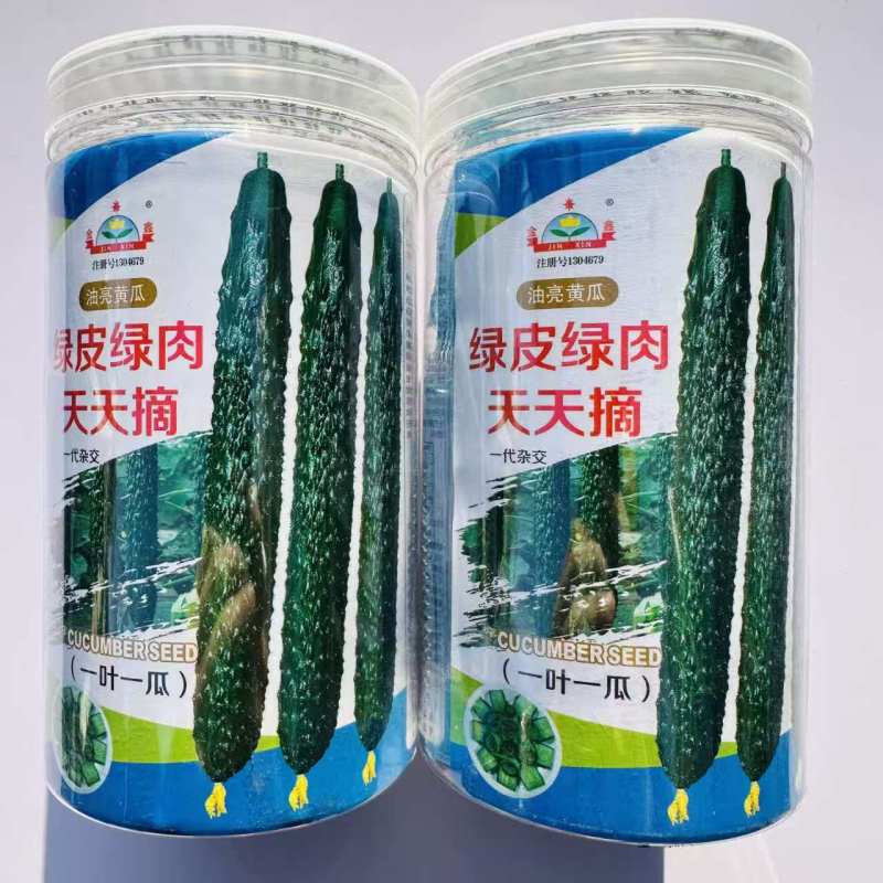 绿皮绿肉天天摘黄瓜种子油亮青瓜绿皮绿肉早熟黄瓜种籽露地专