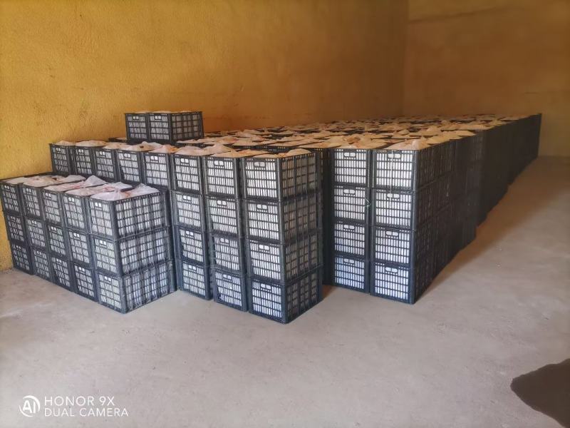 库存玉露香梨