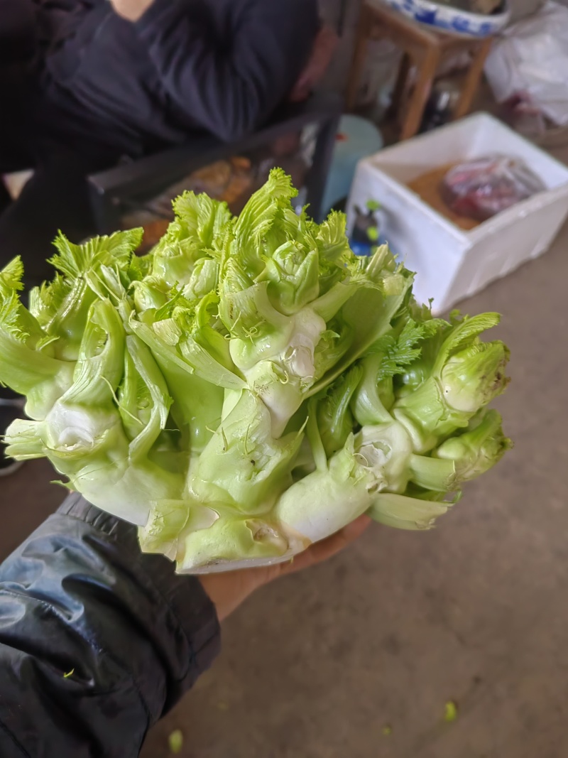 儿菜